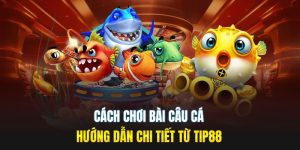 Cách chơi bài câu cá