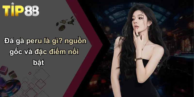 Đá gà peru là gì? nguồn gốc và đặc điểm nổi bật