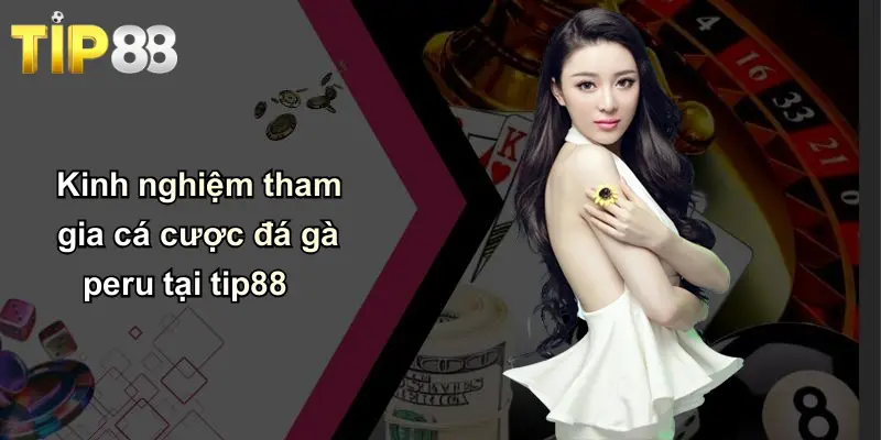 Kinh nghiệm tham gia cá cược đá gà peru tại tip88